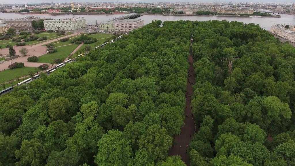 ▷ сады и парки санкт-петербурга | топ-10 ◁