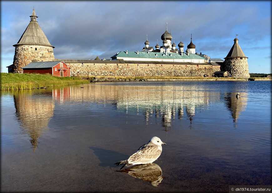 Национальный парк «русский север»: официальный сайт, карта, фото, как добраться, отели, монастыри — туристер.ру