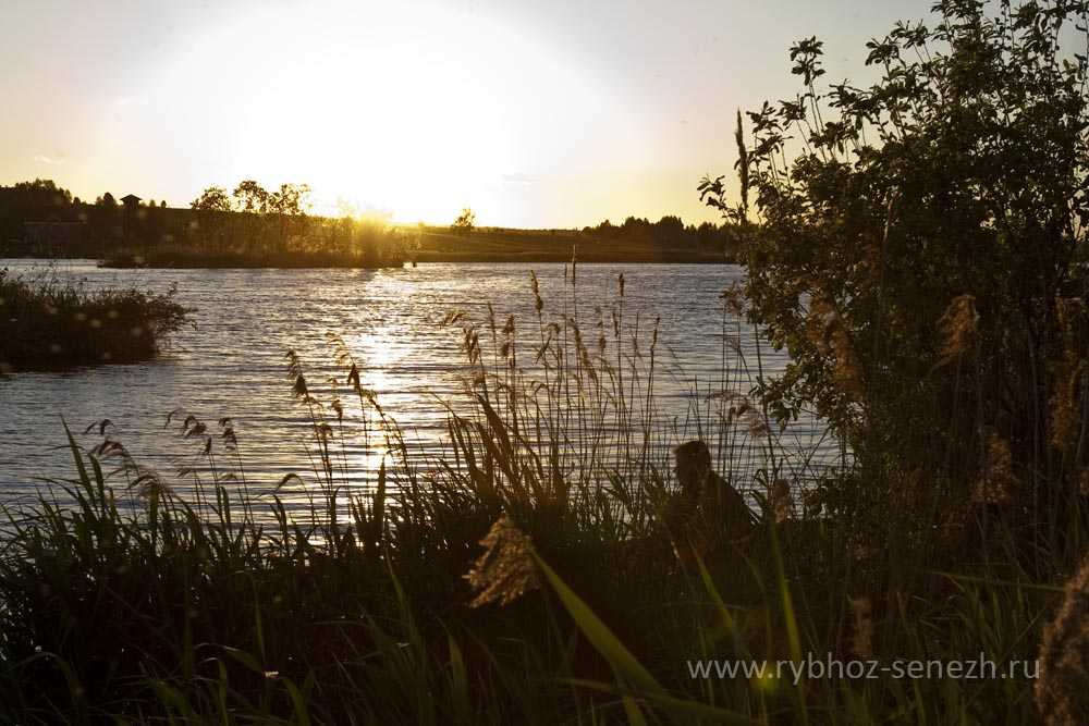 Сенежское озеро. озеро сенеж — рыбалка, отдых