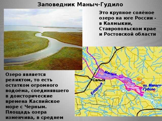 Минеральное озеро маныч-гудило: описание, флора и фауна :: syl.ru