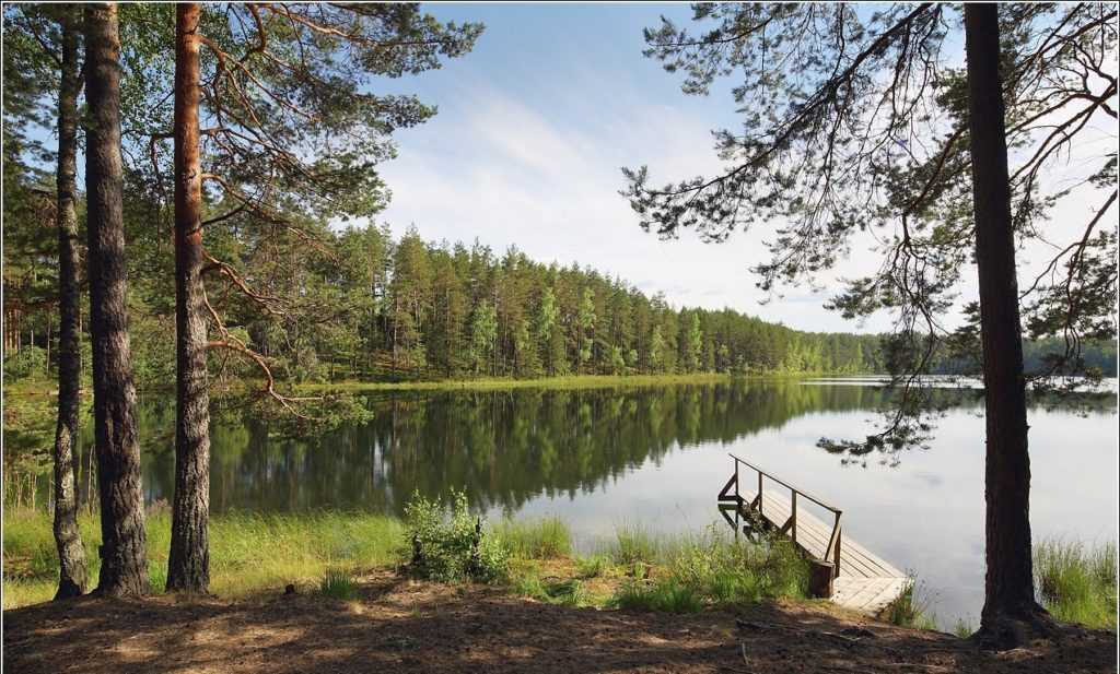 Себежское озеро в псковской области — на карте, глубины, рыбалка, отдых, где находится, фото, как добраться