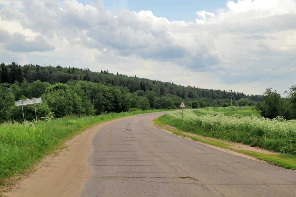 Шутов лес. Д. Шутово Костромская область. Киндяковский пляж. Порог Киндяковский.