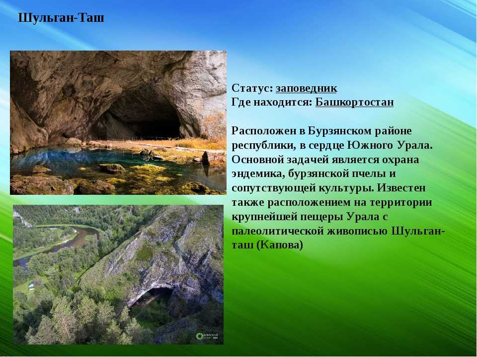 Фото-трип: заповедник шульган-таш (капова пещера)
