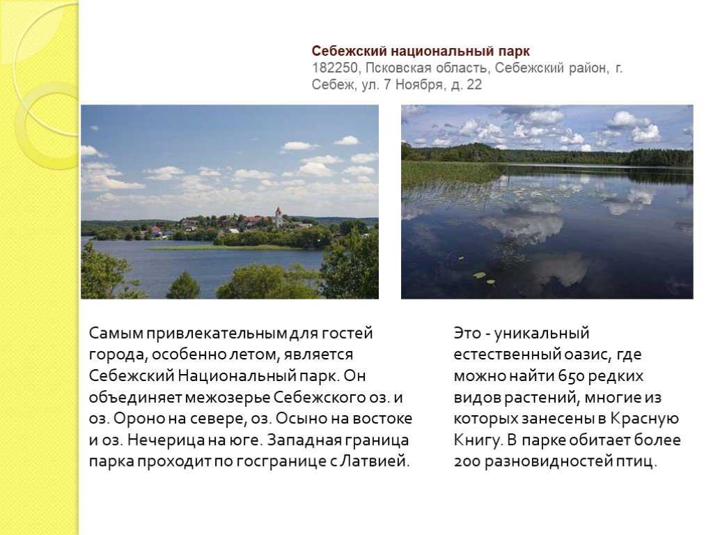 Экопросвещение – национальный парк "себежский"