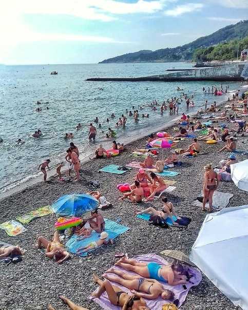 Какие пляжи сочи стоит выбрать для отдыха в 2021 году