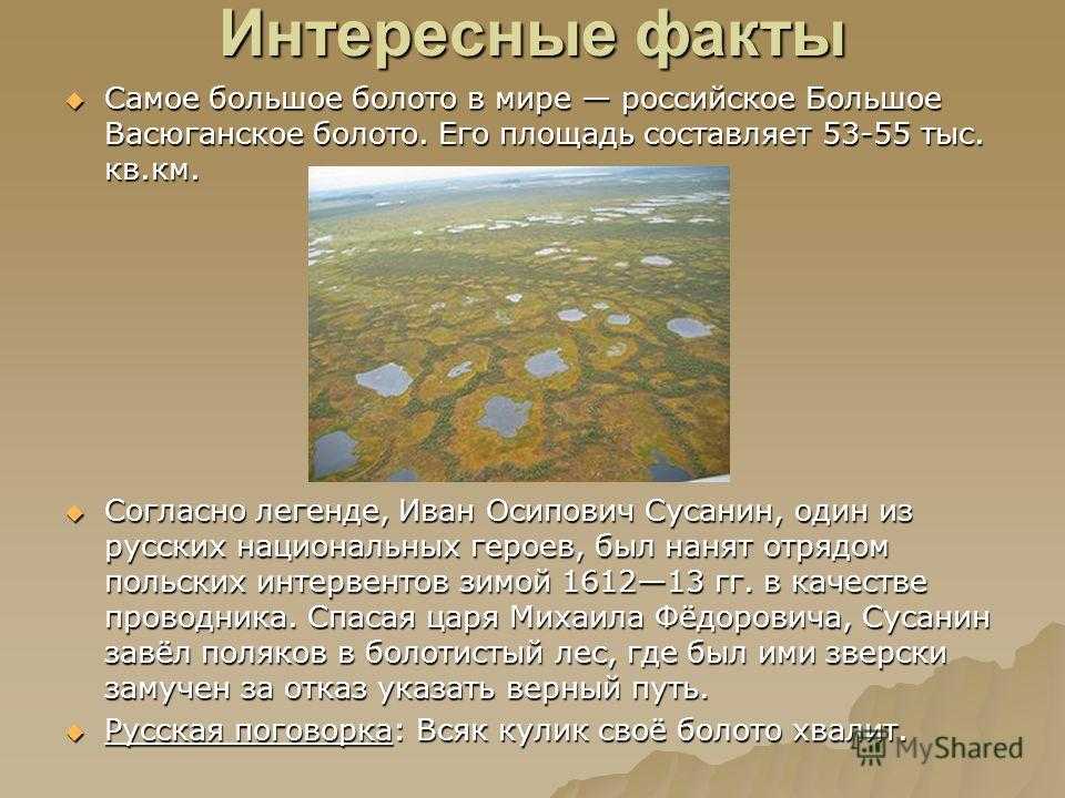 Васюганские болота — одни из самых больших болот на Земле, расположены в Западной Сибири, в междуречье Оби и Иртыша, на территории Васюганской равнины, находящейся большей частью в пределах Томской области, и малыми частями — Новосибирской и Омской област