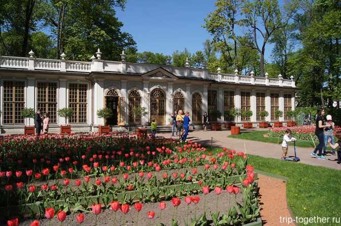 Летний сад — самый старый сад в городе, место для которого было выбрано самим Петром. Первое упоминание о нем датировано 1704 г. - всего через год после основания Петербурга