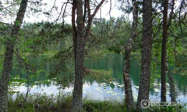 Себежский национальный парк описание и фото - россия - северо-запад: себеж
