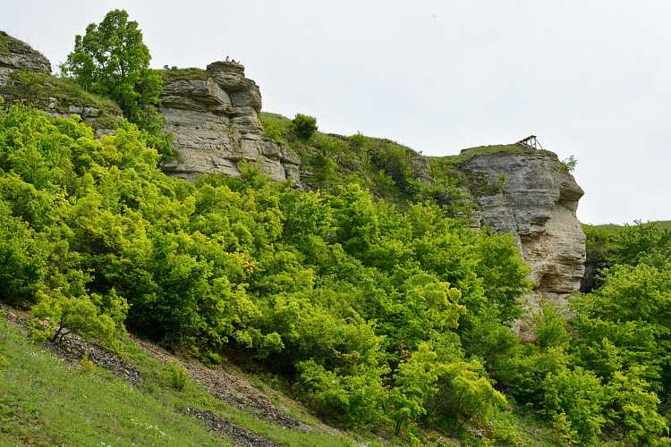 Заповедник «галичья гора» в липецкой области, фото и краткое описание животных и растений