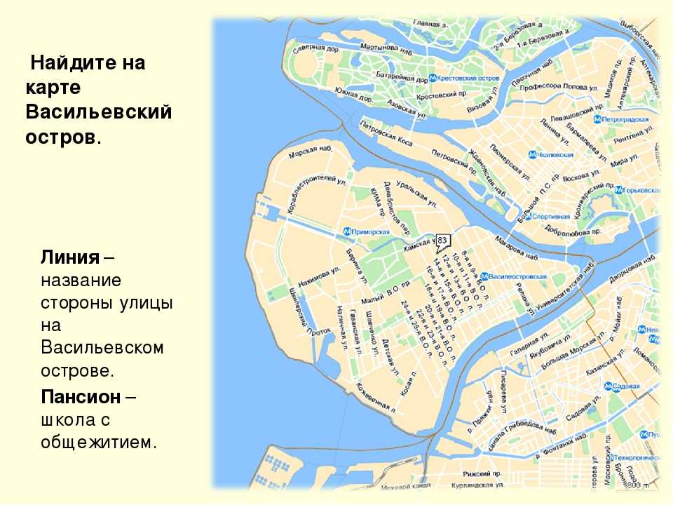 Васильевский остров санкт-петербург. достопримечательности, рестораны, отели