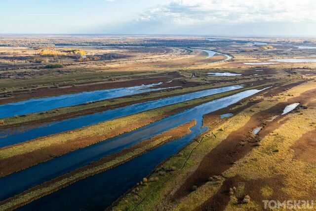 Топ-10 интересных фактов про васюганские болота