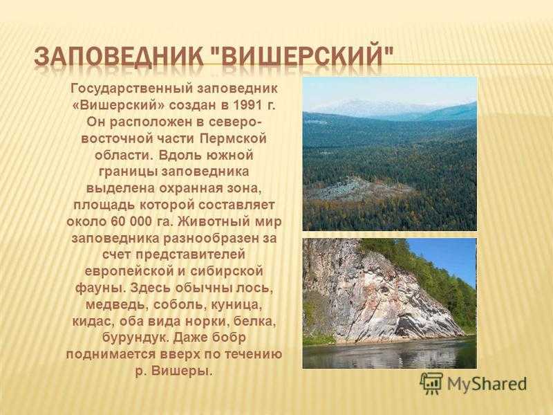 Вишерский заповедник: природа и ландшафт парка, животные и растения, информация для туристов