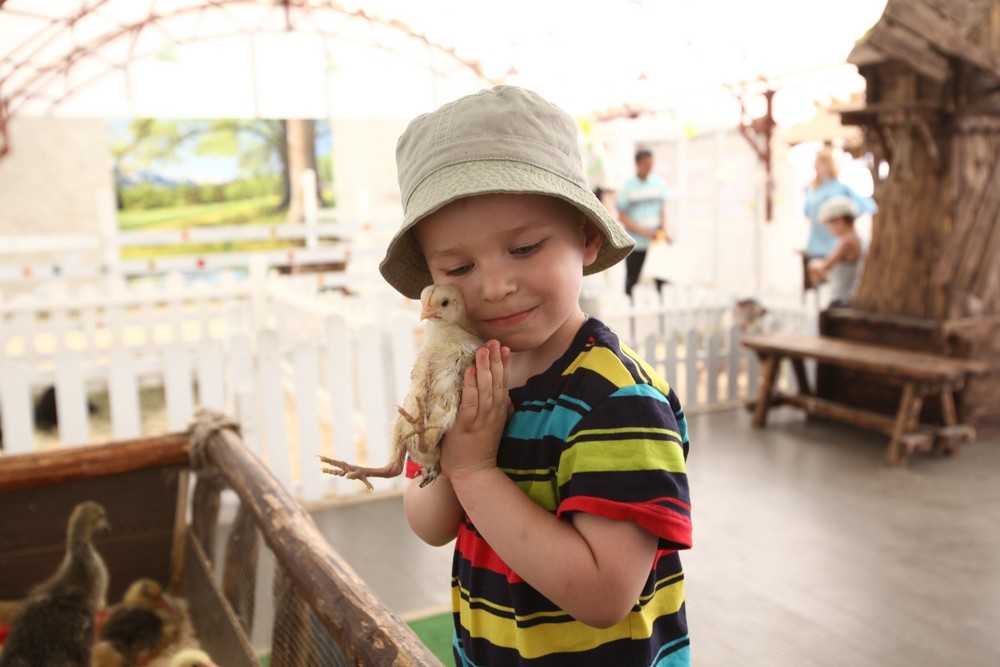 Роль зоопарков. Дети в зоопарке. Дети в зоопарке Москва. Московский зоопарк для детей. Детский зоопарк в Москве.