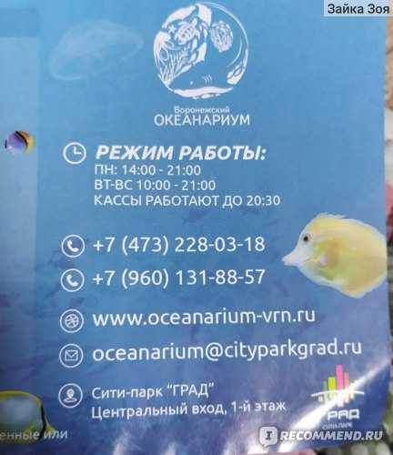 Океанариум в санкт-петербурге: режим работы 2021 и стоимость билетов, как добраться и официальный сайт