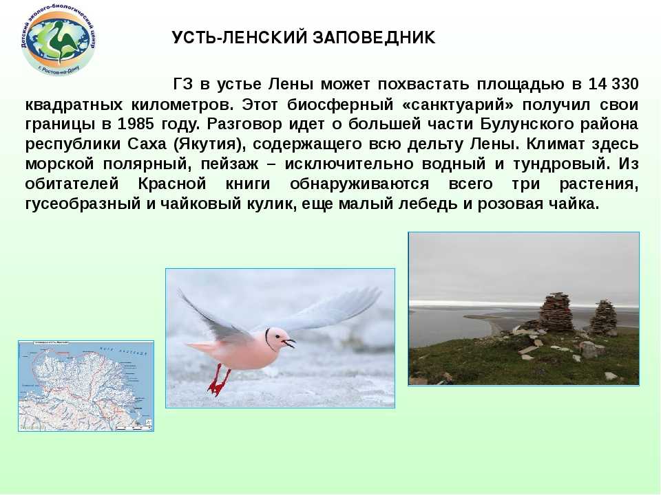 Байкало-ленский заповедник: животные и растения, где находится на карте россии