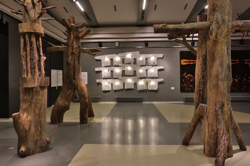 Музей современного искусства эрарта
