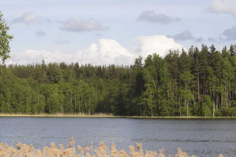 Себежский национальный парк объединяет леса и озера Себежской области, среди которых межозерье Себежского озера и озера Ороно, озеро Осыно и озеро Нечерица. На западе заповедник заканчивается на границе с Латвией. Его площадь – 50 021 га. На территории Се