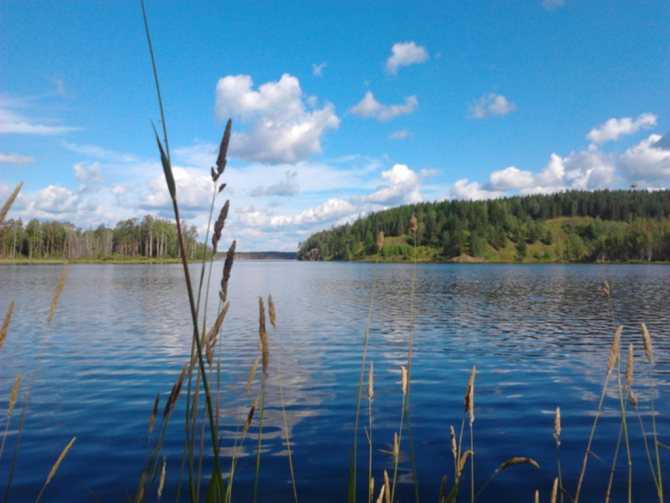 ᐉ шалаховское водохранилище - место для рыбака - ✅ ribalka-snasti.ru