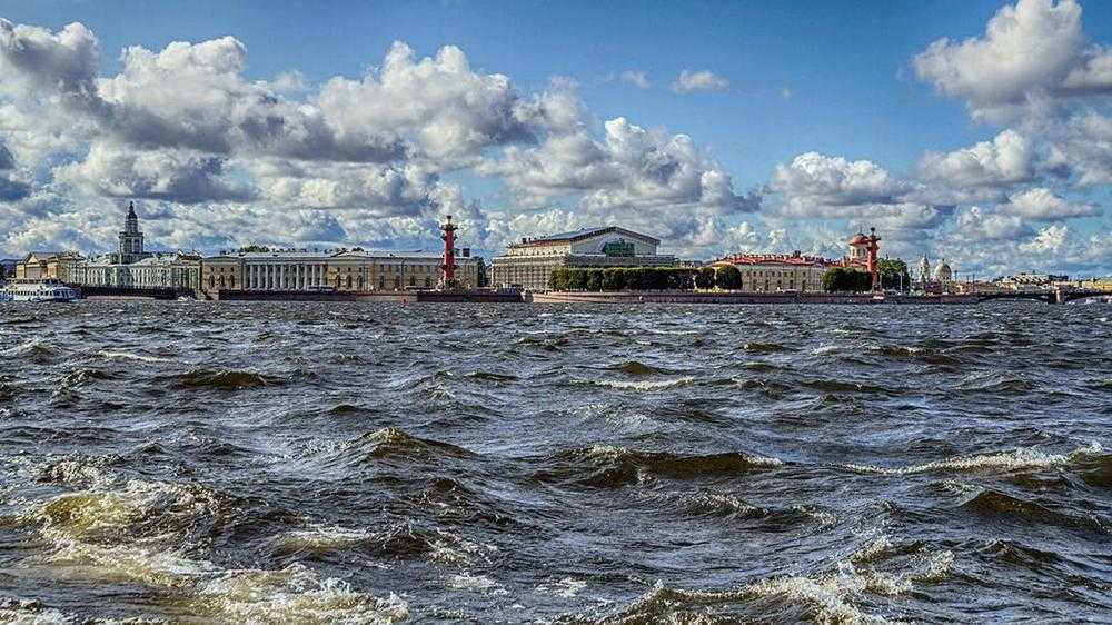Василеостровский остров санкт петербург достопримечательности