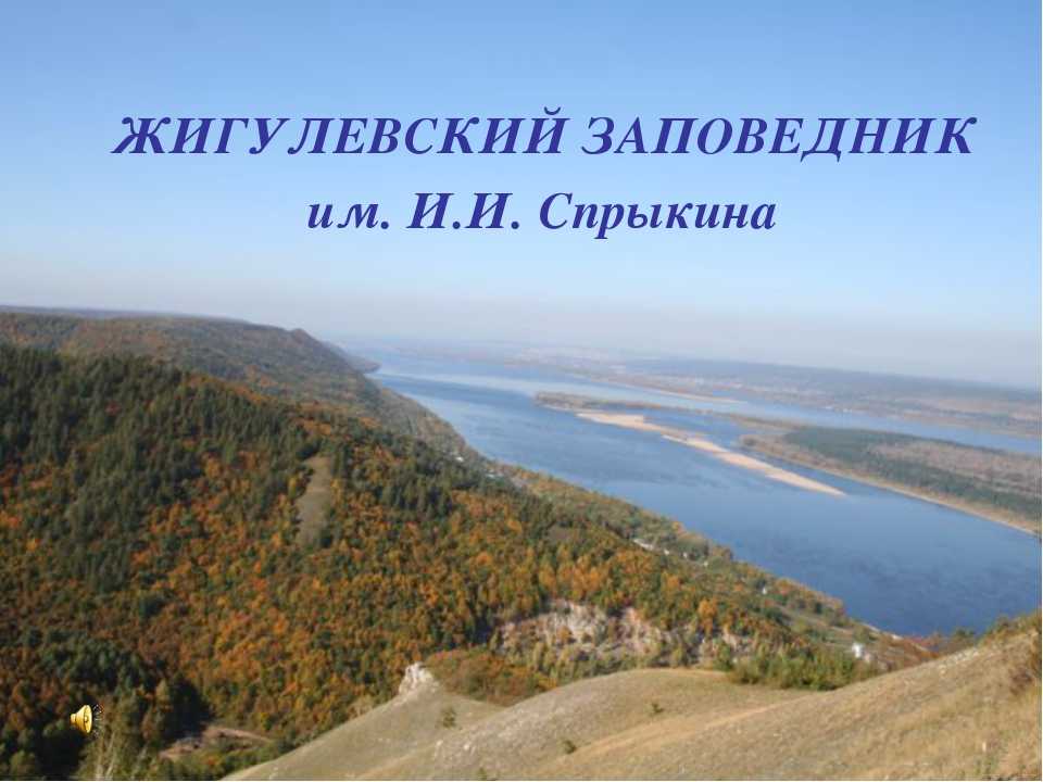 Жигулевский заповедник признан одним из самых привлекательных для туристов в россии - волга ньюс