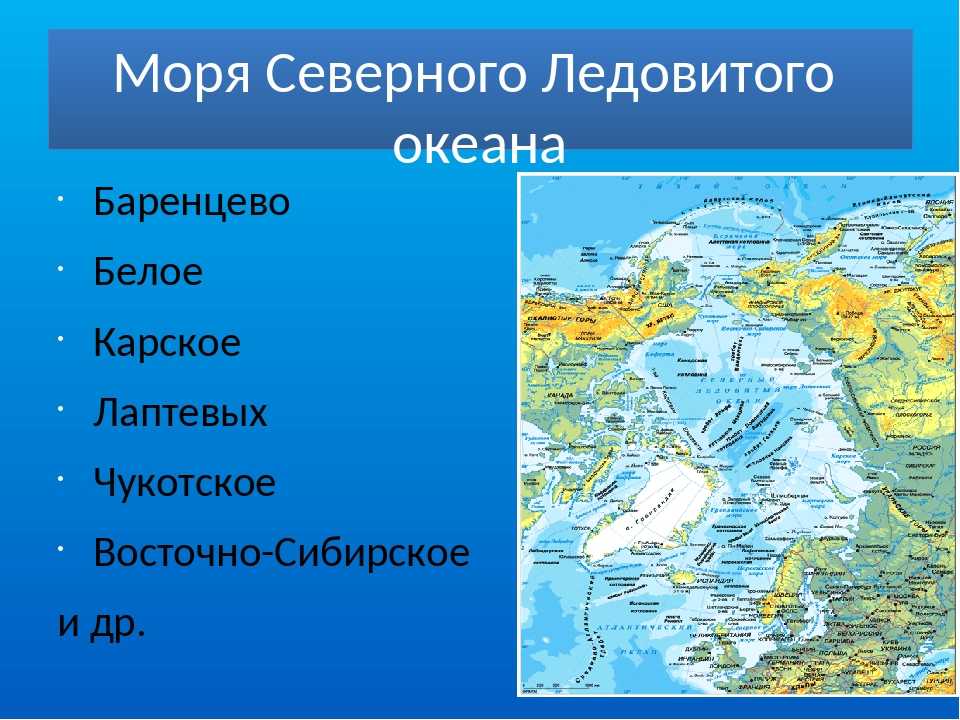 Охотское море на карте россии. соленость, ресурсы, площадь, глубина, характеристика