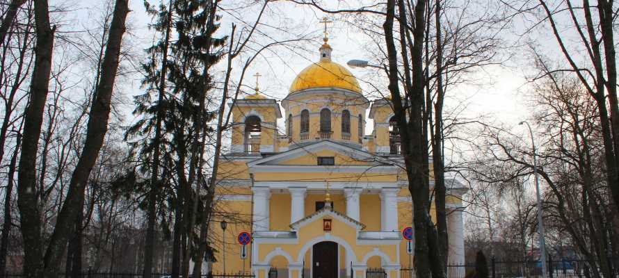 Кафедральный собор святого благоверного александра невского