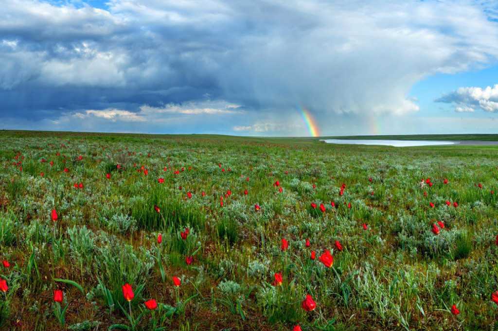 Долина западного маныча: степной заповедник «ростовский»