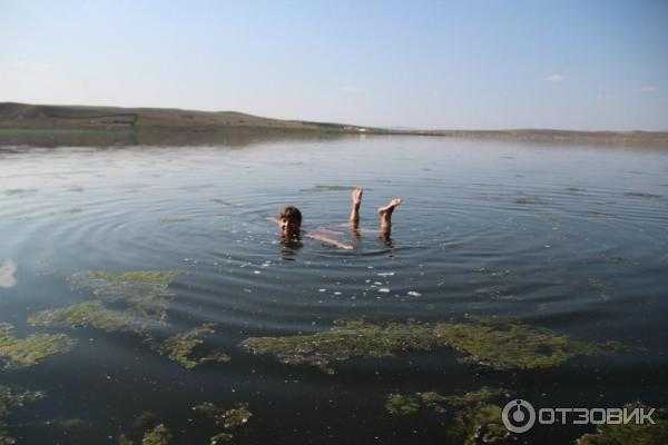 Озеро соленое в тюменской области — отдых, отзывы, на карте, как проехать, маршрут