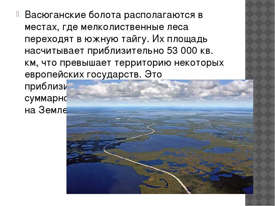 Узнай где находится Васюганские болота на карте России (С описанием и фотографиями). Васюганские болота со спутника