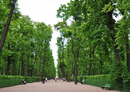 Лучшие парки и сады санкт-петербурга для прогулок
