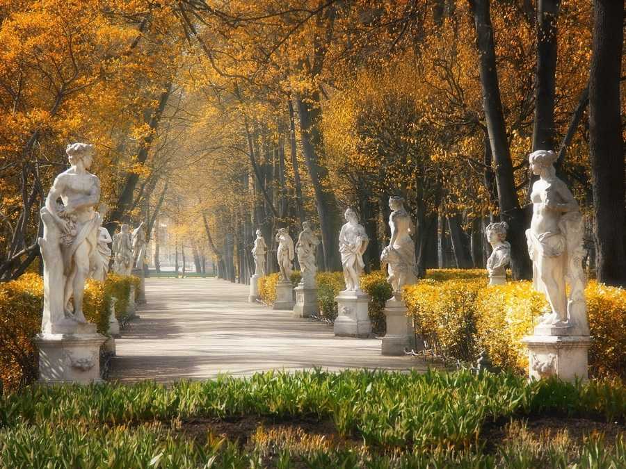 Парки, скверы и сады санкт-петербурга