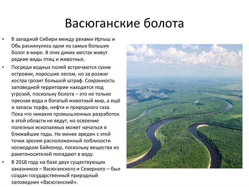 Самое большое болото в мире - васюганское болото, экологические проблемы, угрожающие данному региону, и возможные пути их решения