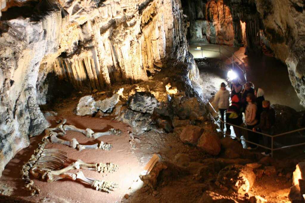 Все о пещере эмине-баир-хосар (мамонтовая) в крыму: как добраться, фото, описание