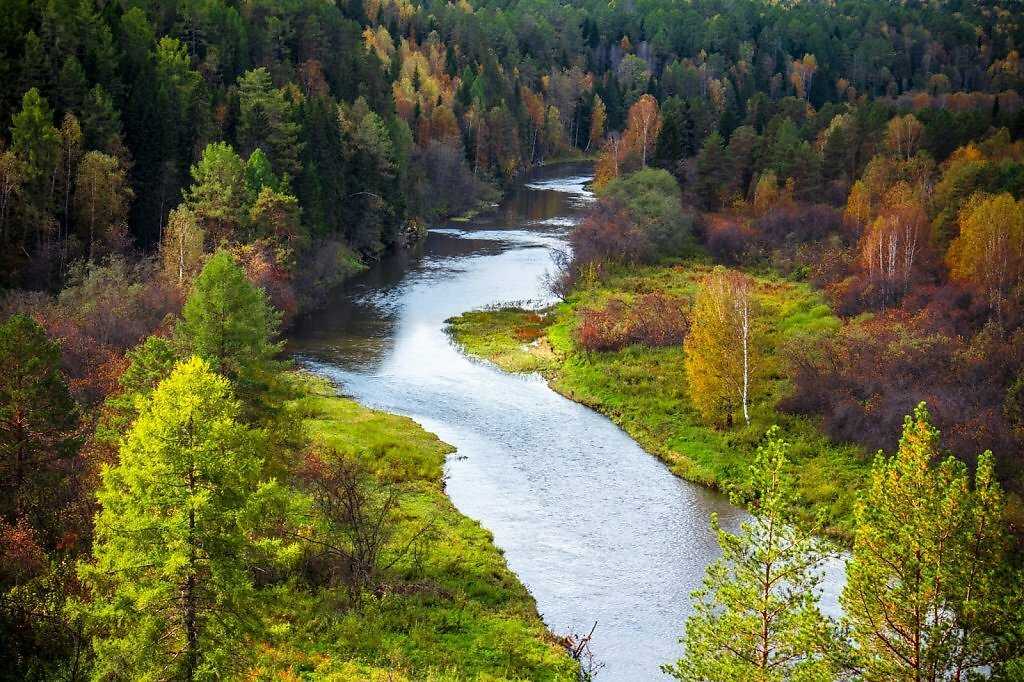 Оленьи ручьи — территория rus