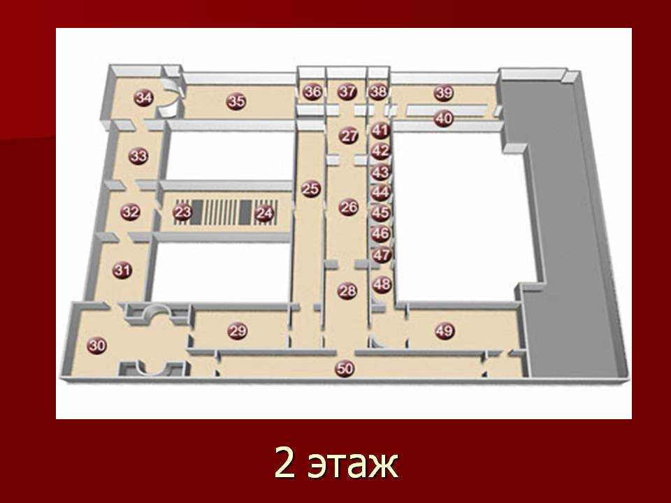 Новый эрмитаж – императорский музей искусств в санкт-петербурге