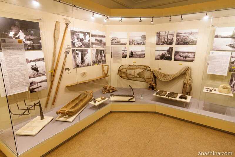 Музеи города петрозаводск - популярные экспозиции и выставки в музеях городов россии