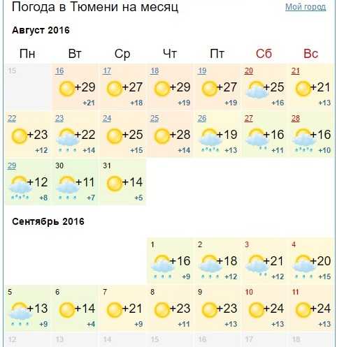Погода в тюмени на 10 дней (тюменская область, го тюмень)