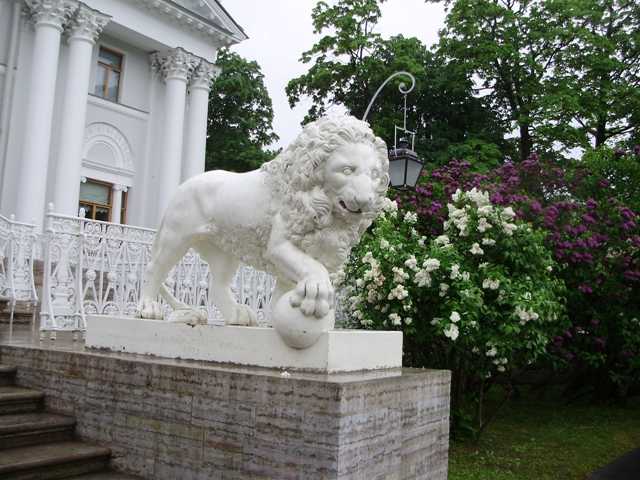 Елагин дворец в санкт-петербурге на острове