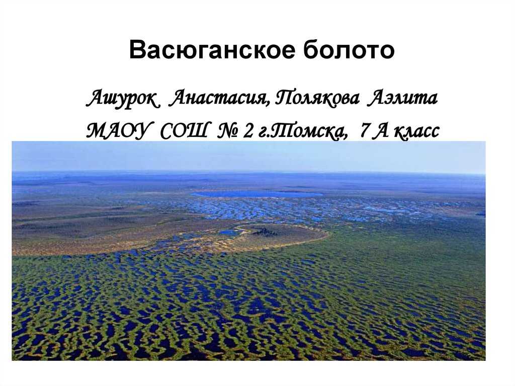 Кириллица  | васюганские болота: какие тайны скрывает самая огромная топь в мире