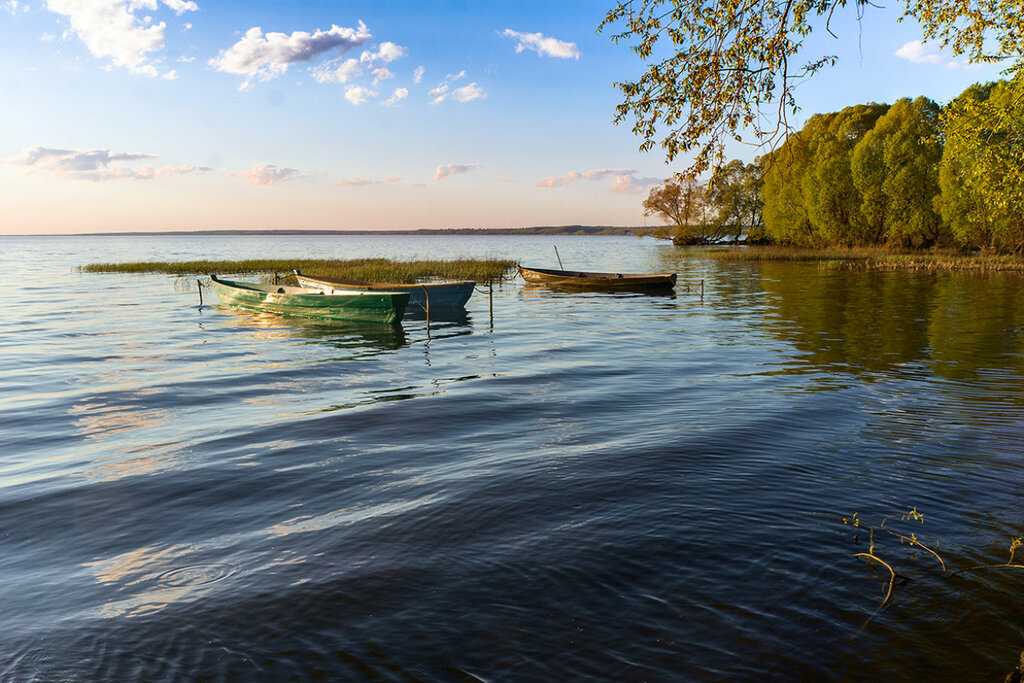 Плещеево озеро — описание, природа, история, рыбалка и отдых, экология, фото и видео