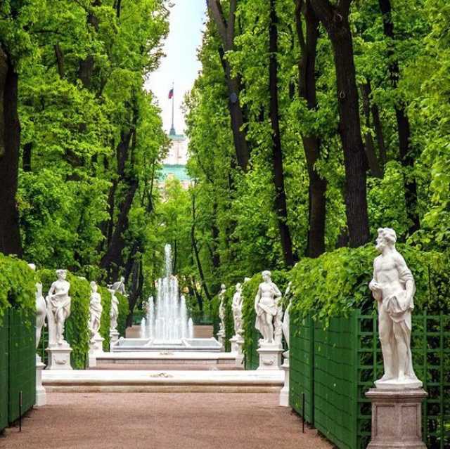 Топ-7 самых известных садов санкт-петербурга.