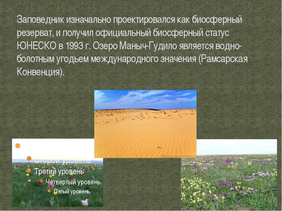 "черные земли". заповедник с редкими популяциями, уникальными ландшафтами и необычной флорой :: syl.ru