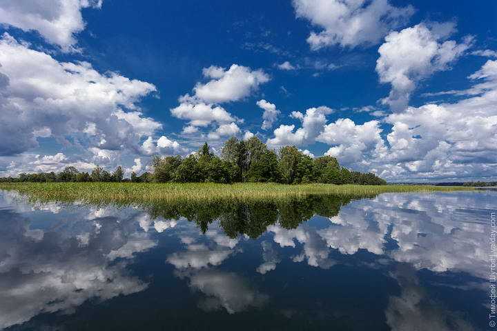 Озеро вельё описание и фото - россия - северо-запад: новгородская область