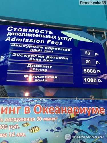 Океанариум в санкт-петербурге • блог аквариумиста