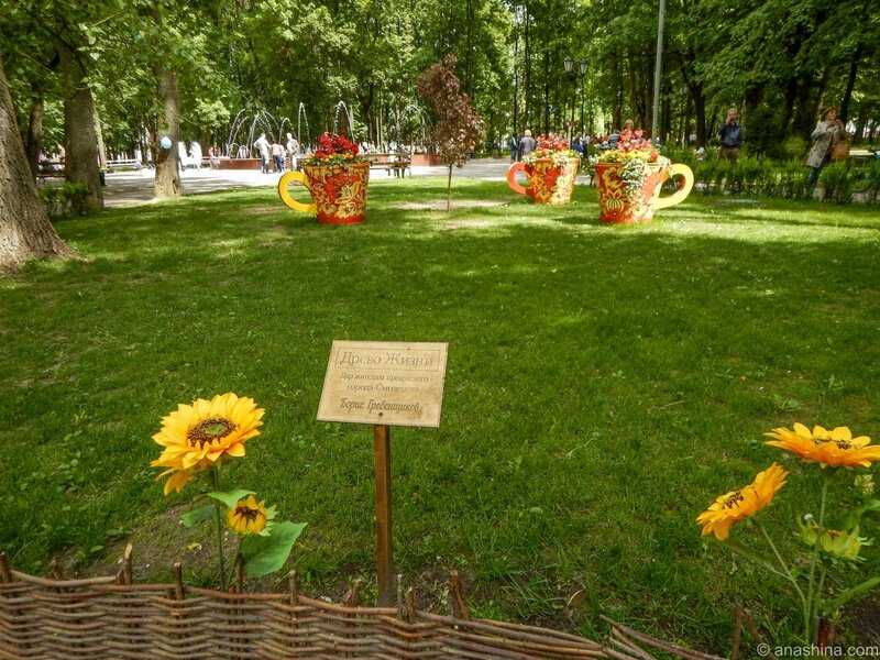 Сад Блонье — парк в центре Смоленска, заложенный в 1830 году. Большую известность парк получил после того, как в 1885 году здесь был открыт один из первых в России монументов – памятник М. И. Глинке. После окончания Великой Отечественной войны в Блонье по