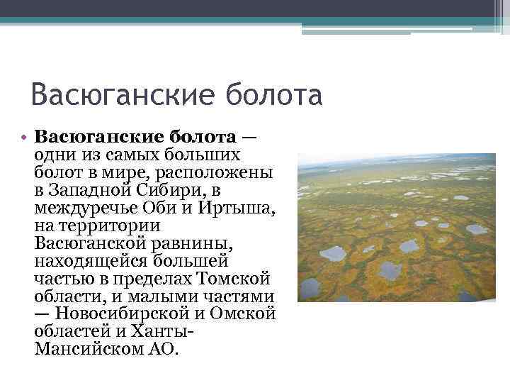 Васюганские болота в западной сибири: неразгаданные тайны - злые боги-самоеды