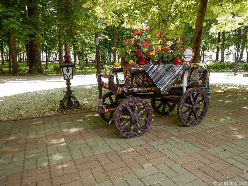 Лопатинский сад в смоленске: история, достопримечательности, фото