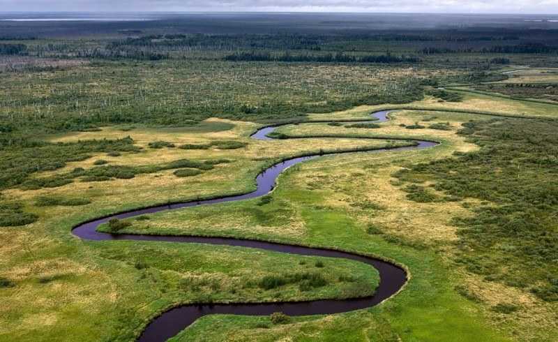 Васюганские болота – одно из 7 чудес света россии - travel edge