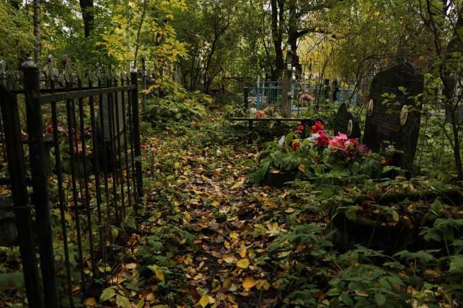Митрофаньевское кладбище в петербурге: история, фото, карты