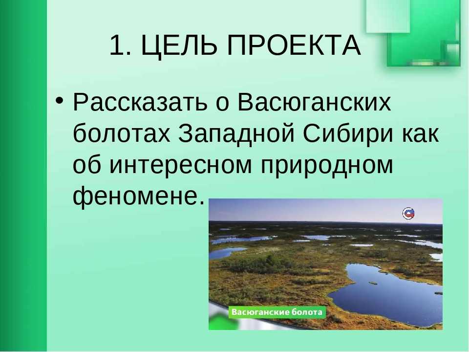 Интересные факты про васюганские болота: история местности